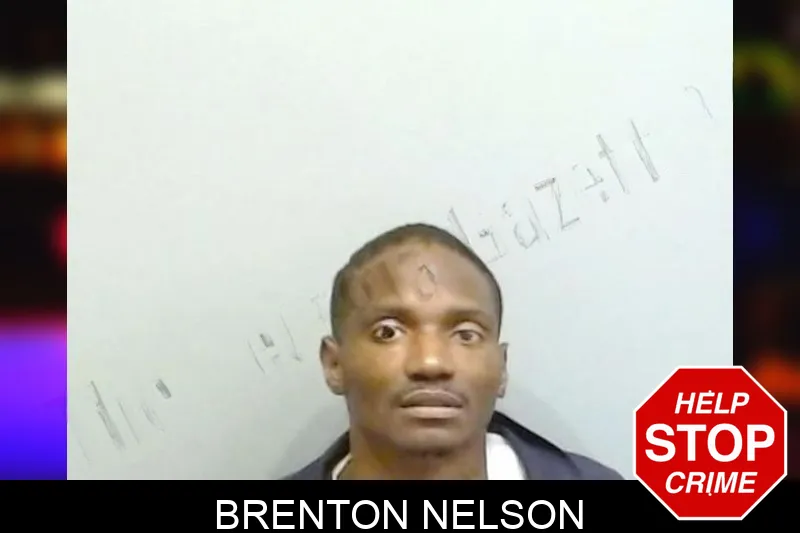 Brenton Nelson mugshot