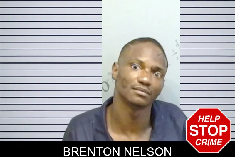 Brenton Nelson mugshot – Fulton County , Georgia Brenton Nelson mugshot