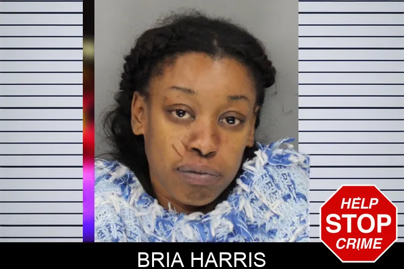 Bria Harris mugshot – Cobb County , Georgia Bria Harris mugshot