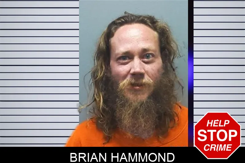 Brian Hammond mugshot – Cherokee County , Georgia Brian Hammond mugshot