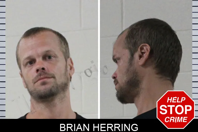 Brian Herring Mugshots