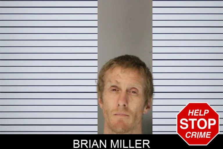 Brian Miller