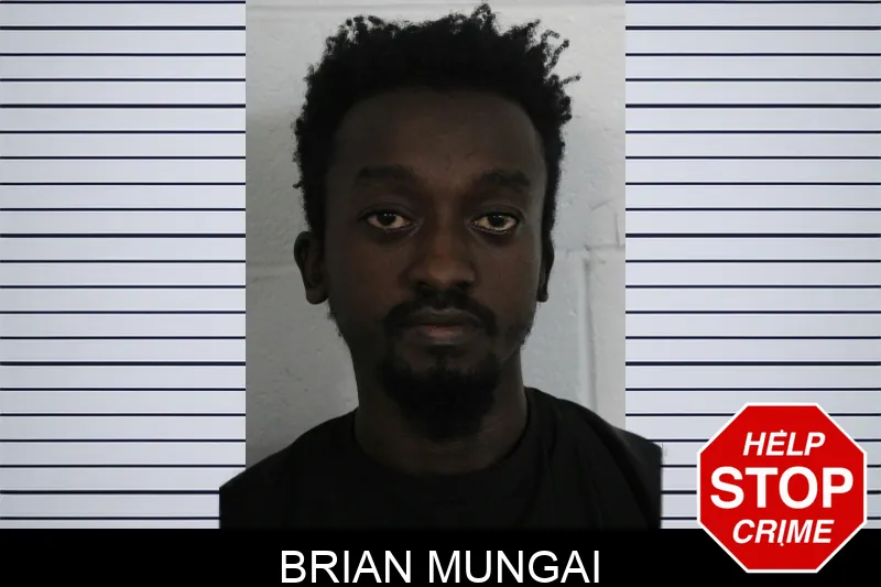 Brian Mungai mugshot – Floyd County , Georgia Brian Mungai mugshot