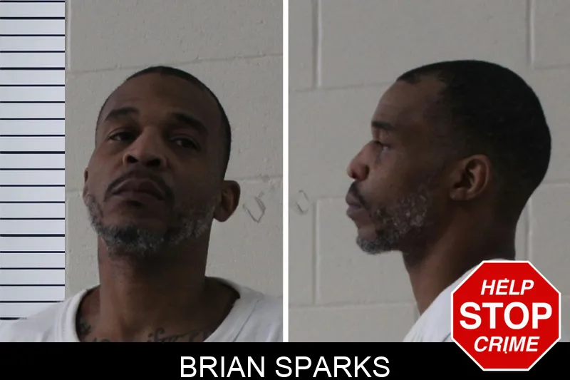 Brian Sparks mugshot – Houston County , Georgia Brian Sparks mugshot