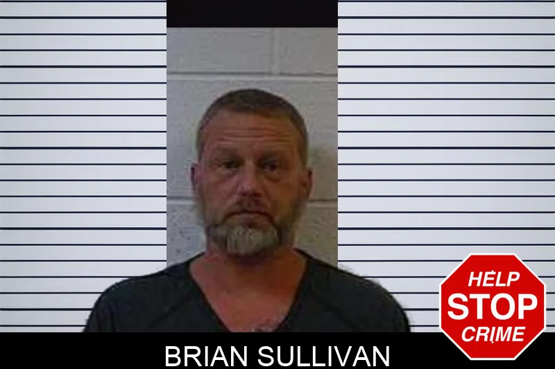 Brian Sullivan Mugshots