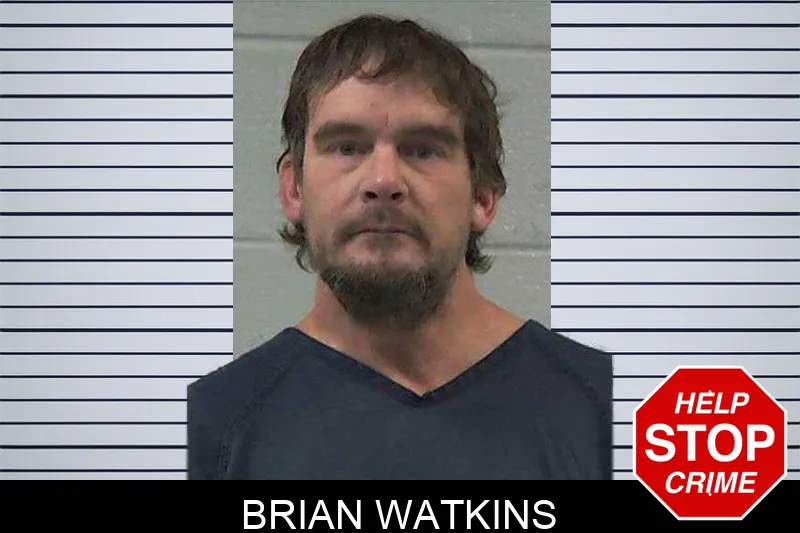 Brian Watkins
