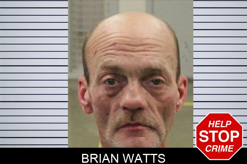 Brian Watts Mugshots