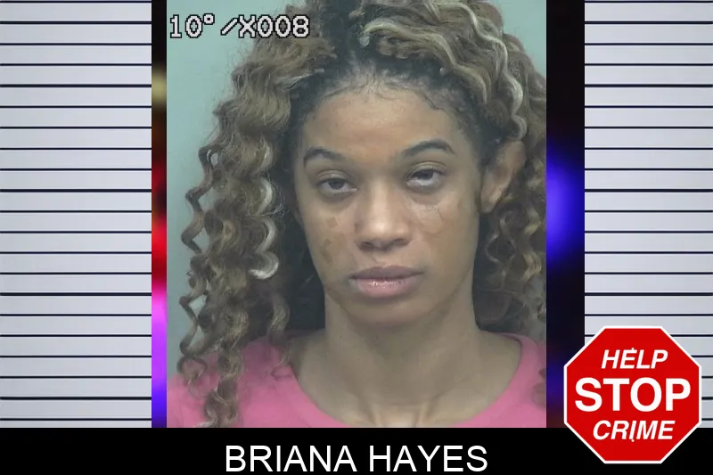 Briana Hayes Mugshots