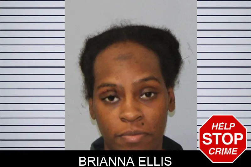 Brianna Ellis Mugshots