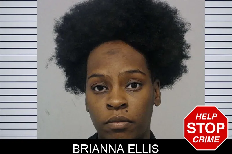 Brianna Ellis mugshot