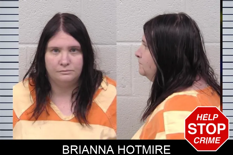 Brianna Hotmire mugshot – Paulding County , Georgia Brianna Hotmire mugshot