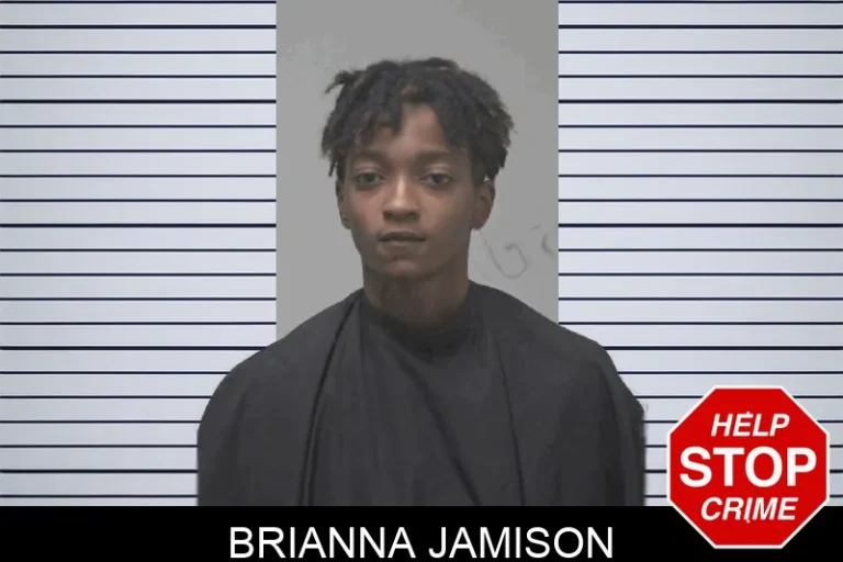 Brianna Jamison mugshot – Coweta County , Georgia Brianna Jamison