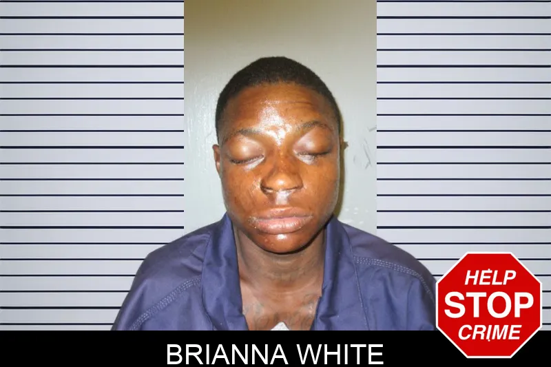 Brianna White mugshot