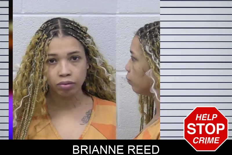 Brianne Reed Mugshots