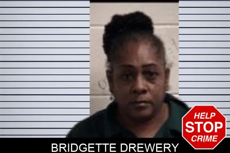 Bridgette Drewery mugshot – Henry County , Georgia Bridgette Drewery