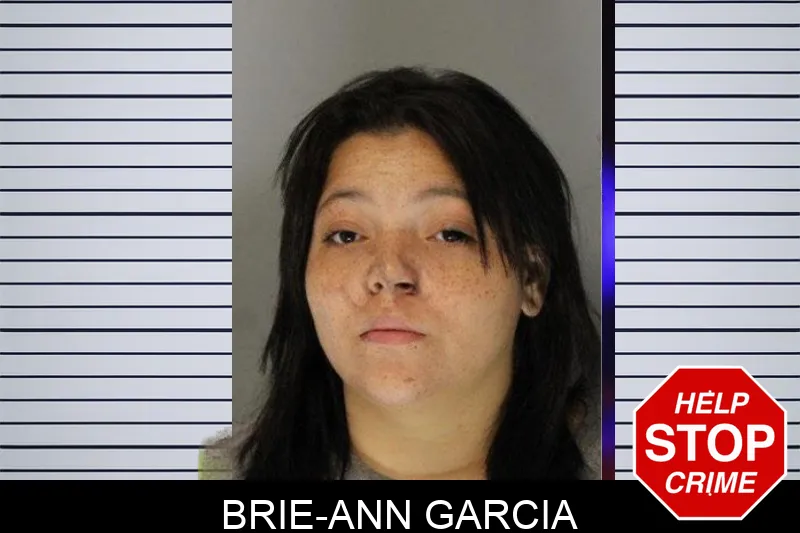 Brie-Ann Garcia mugshot