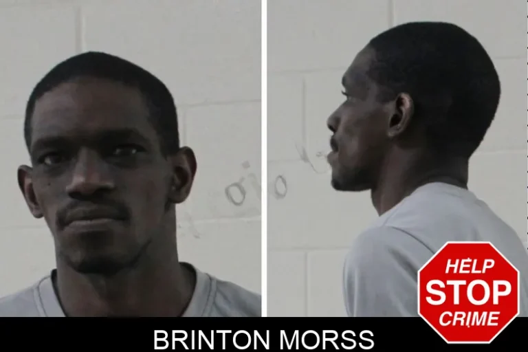 Brinton Morss