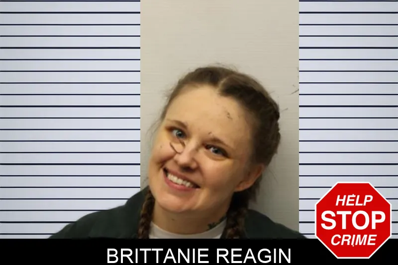 Brittanie Reagin Mugshots