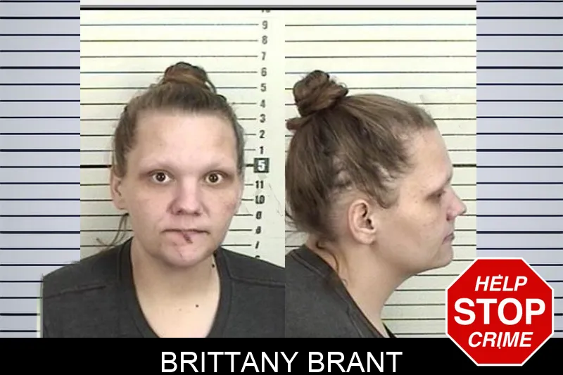 Brittany Brant Mugshots