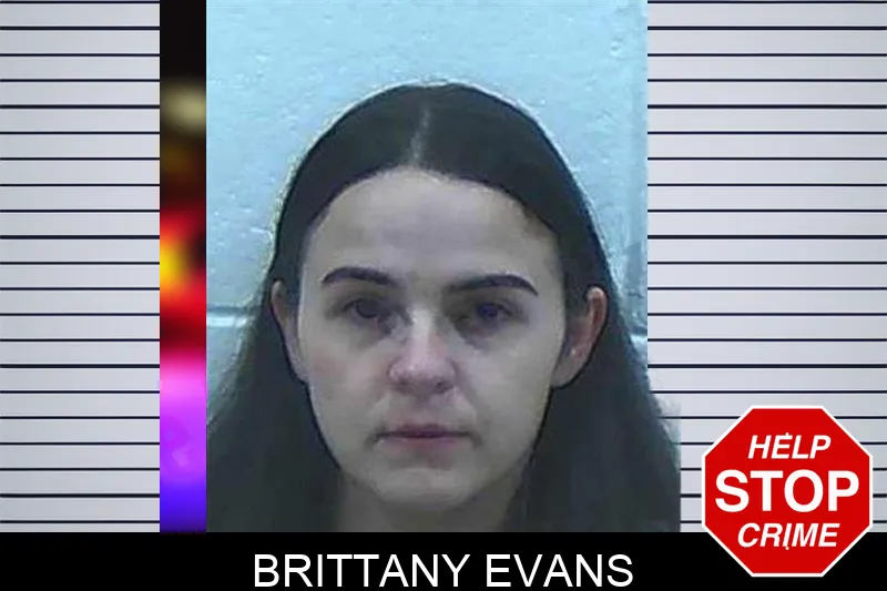 Brittany Evans Mugshots
