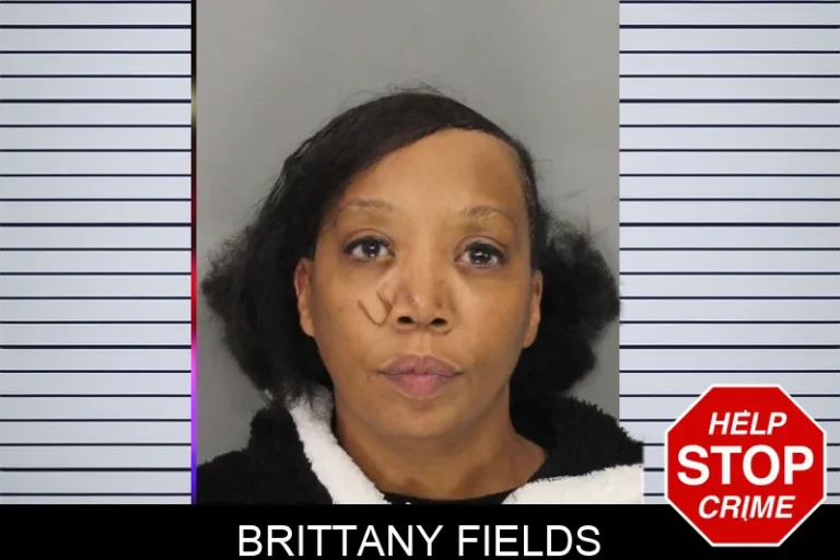 Brittany Fields mugshot – Cobb County , Georgia Brittany Fields