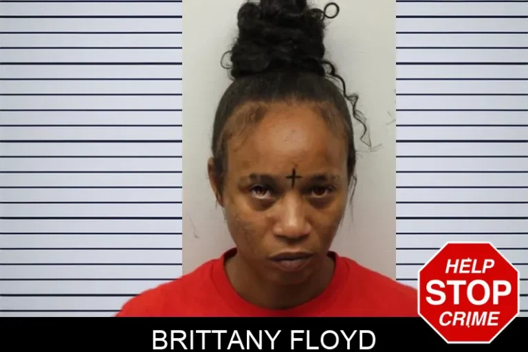 Brittany Floyd