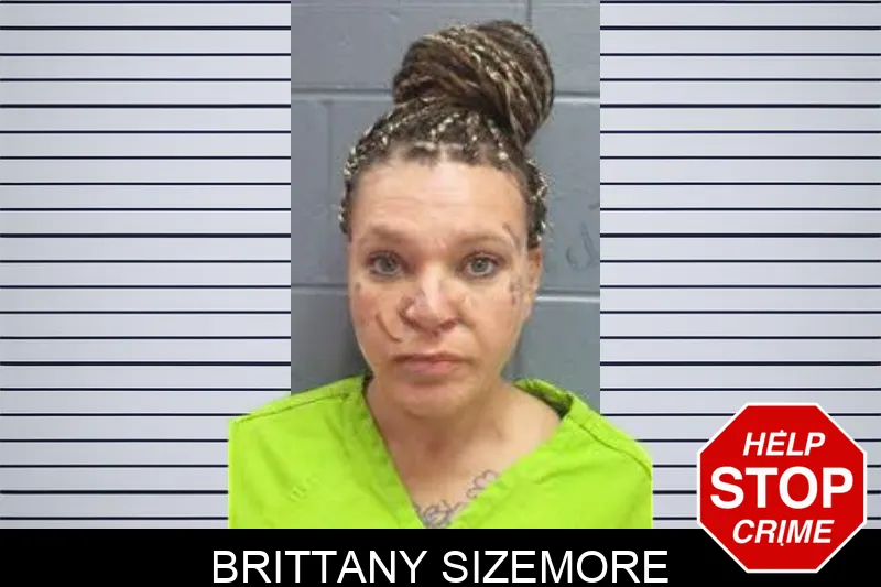 Brittany Sizemore Mugshots