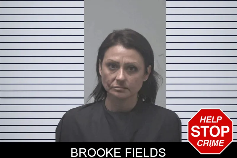 Brooke Fields Mugshots