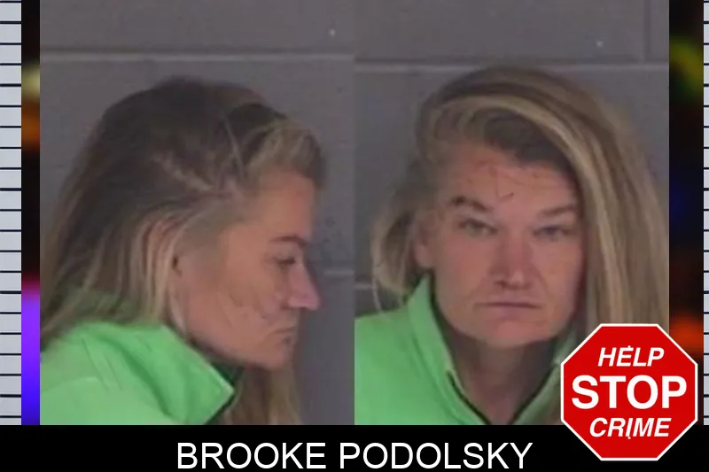 Brooke Podolsky Mugshots