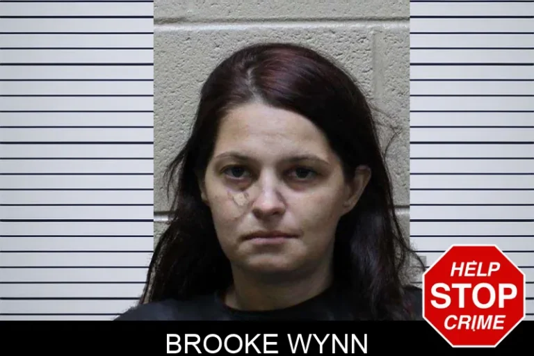 Brooke Wynn mugshot – Haralson County , Georgia Brooke Wynn