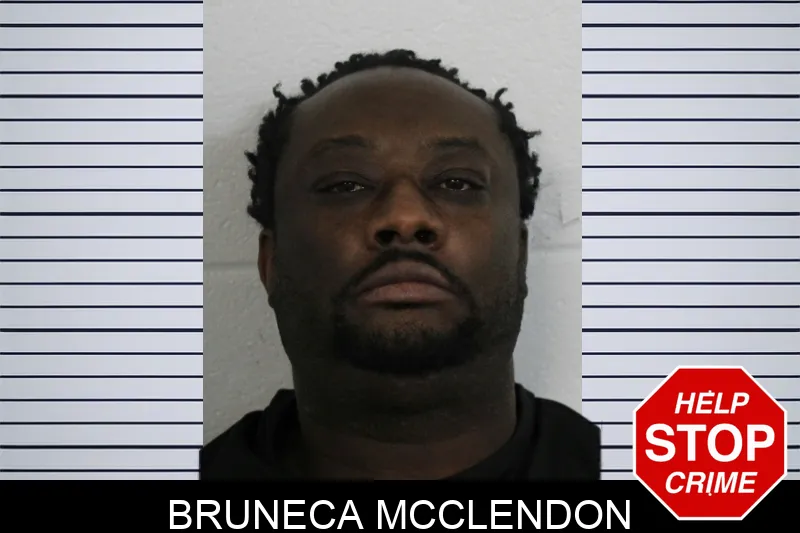 Bruneca McClendon mugshot
