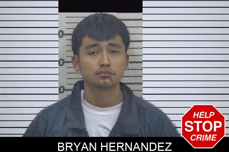 Bryan Hernandez Mugshots