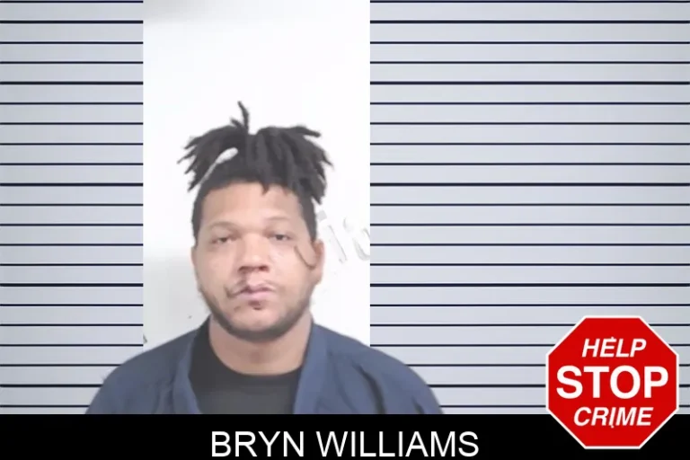 Bryn Williams mugshot – Lowndes County , Georgia Bryn Williams