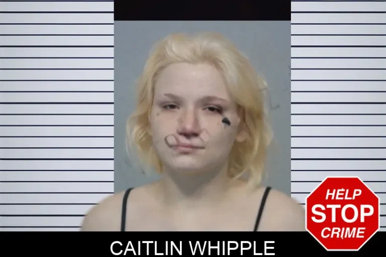 Caitlin Whipple