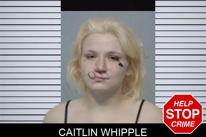Caitlin Whipple
