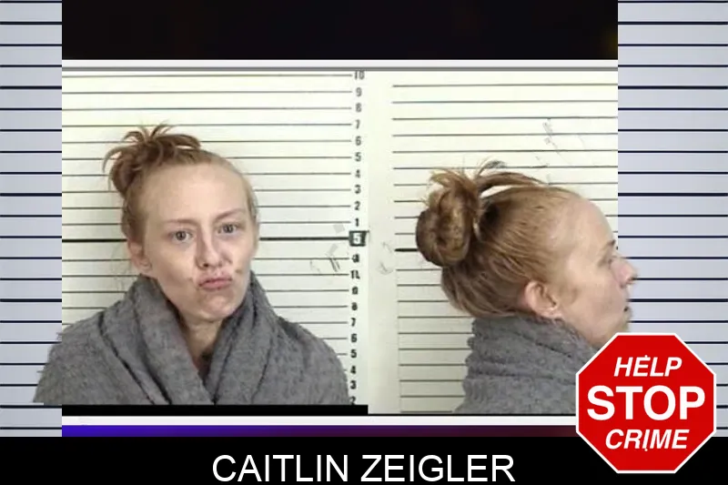 Caitlin Zeigler mugshot – Camden County , Georgia Caitlin Zeigler mugshot
