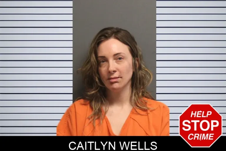 Caitlyn Wells mugshot – Lumpkin County , Georgia Caitlyn Wells