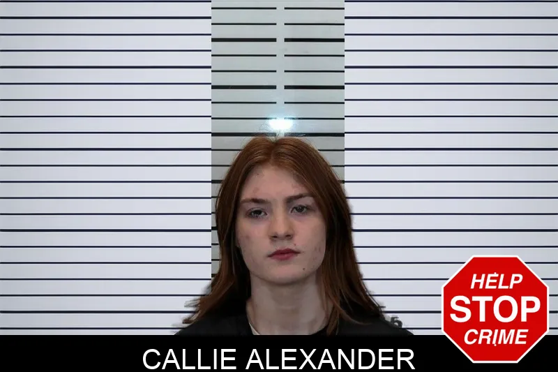 Callie Alexander Mugshots