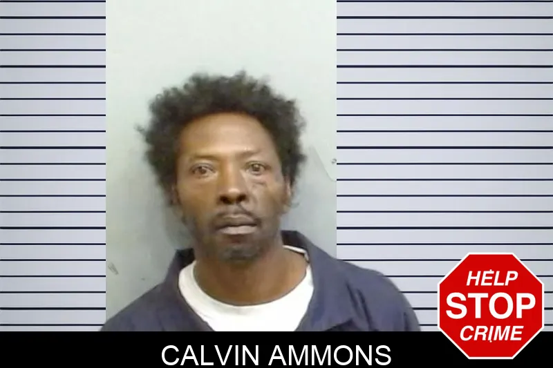 Calvin Ammons Mugshots