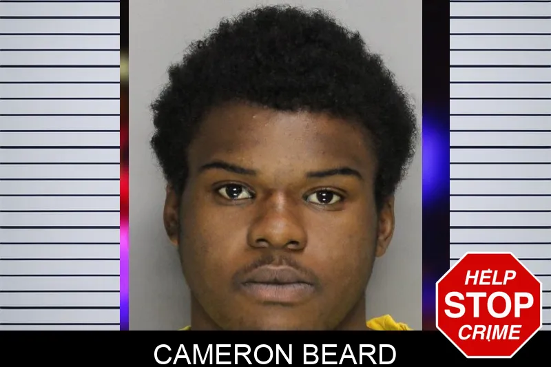 Cameron Beard Mugshots