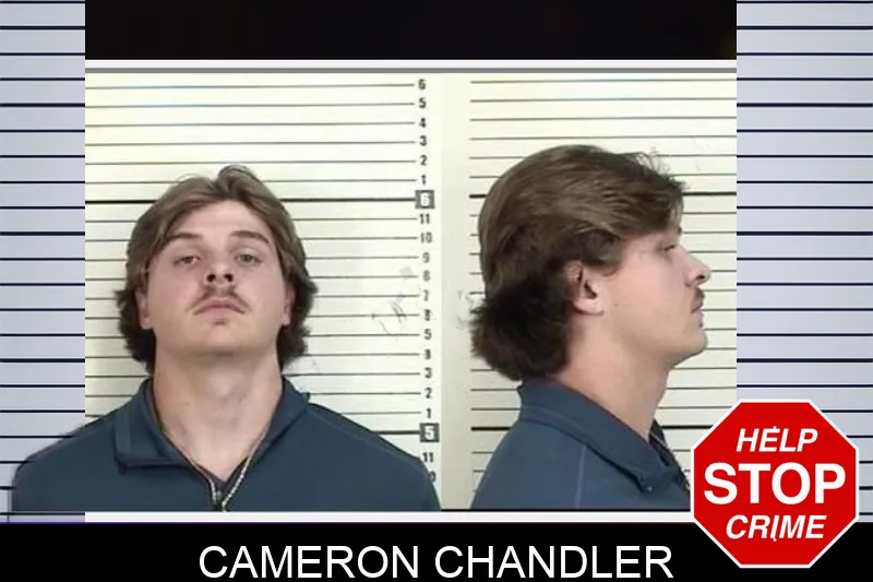 Cameron Chandler mugshot – Camden County , Georgia Cameron Chandler mugshot