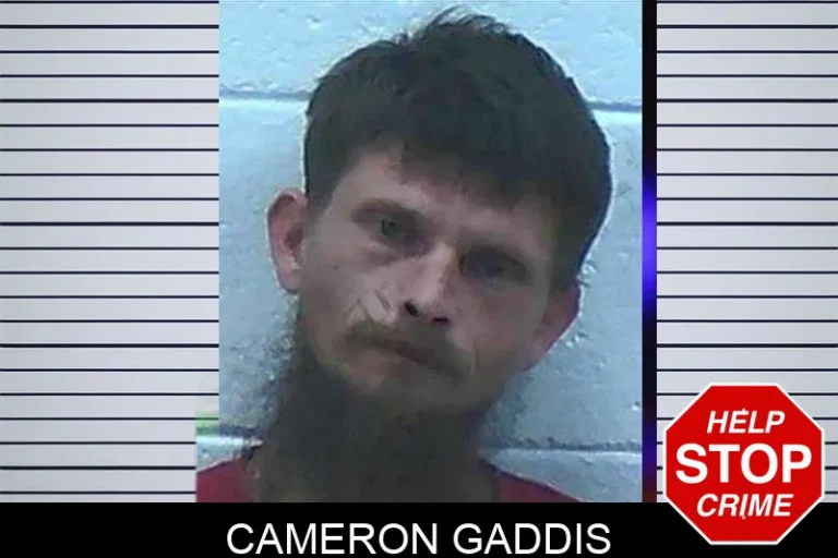Cameron Gaddis mugshot – Jackson County , Georgia Cameron Gaddis
