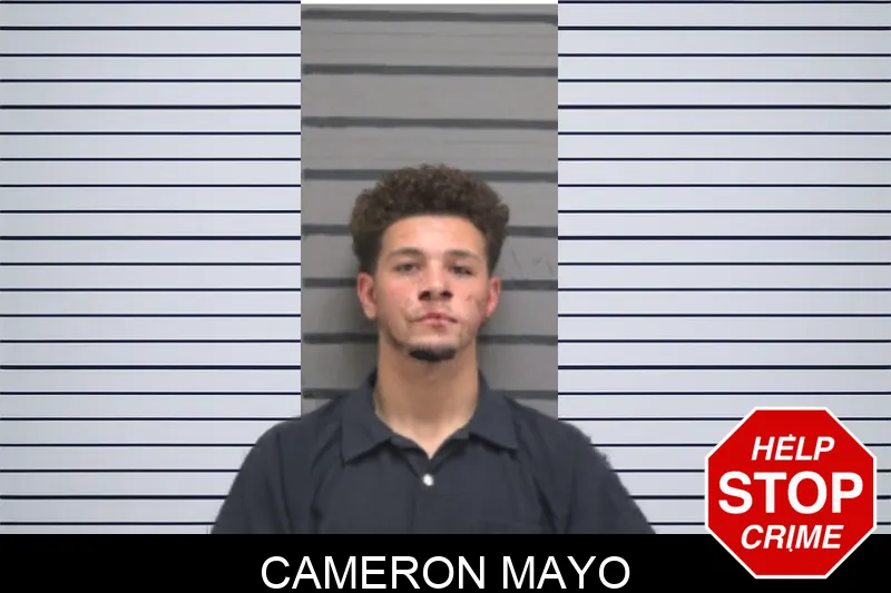 Cameron Mayo Mugshots