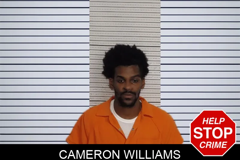 Cameron Williams Mugshots