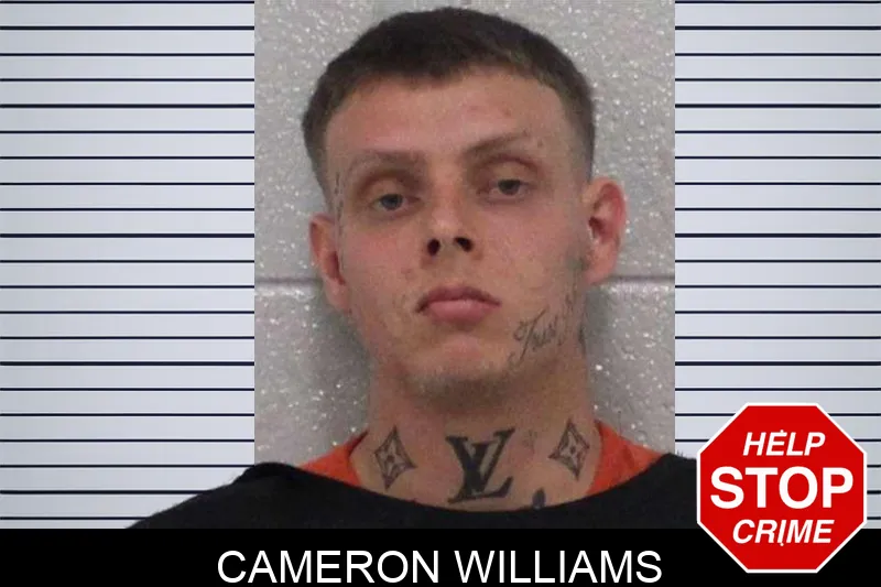 Cameron Williams mugshot