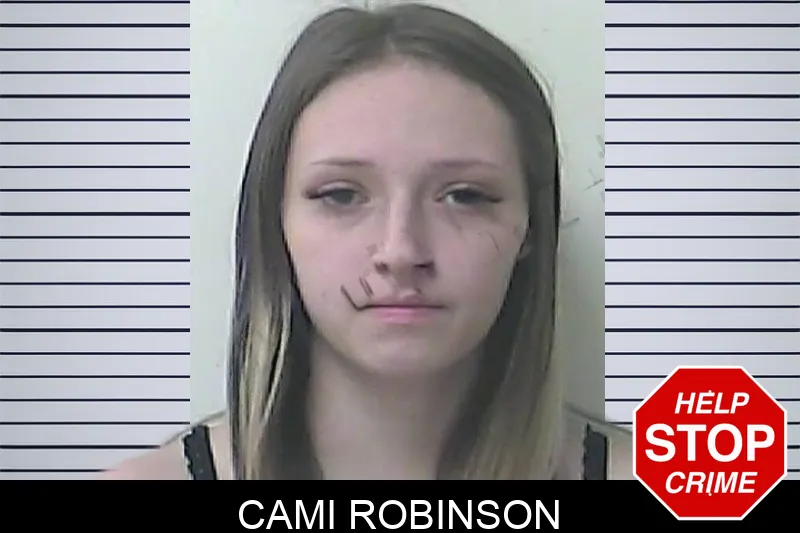 Cami Robinson Mugshots