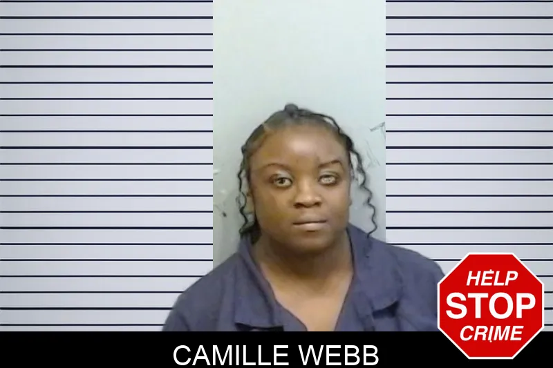 Camille Webb mugshot – Fulton County , Georgia Camille Webb mugshot