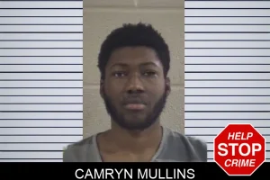 Camryn Mullins mugshot