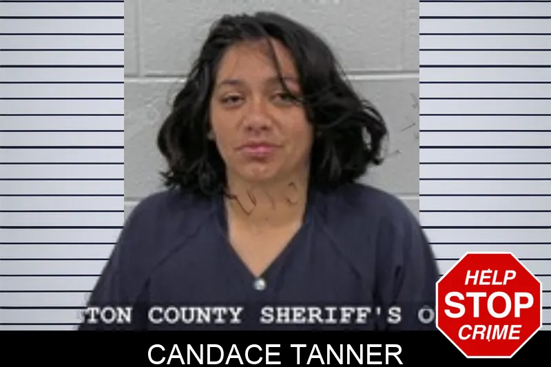 Candace Tanner mugshot – Walton County , Georgia Candace Tanner mugshot
