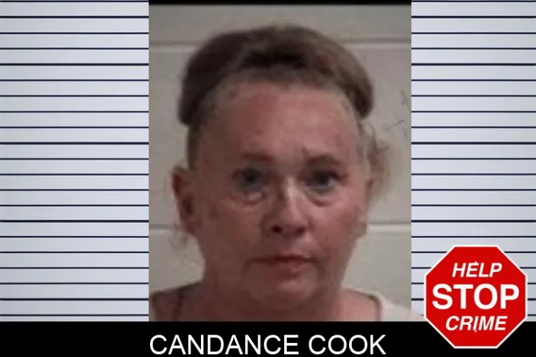 Candance Cook